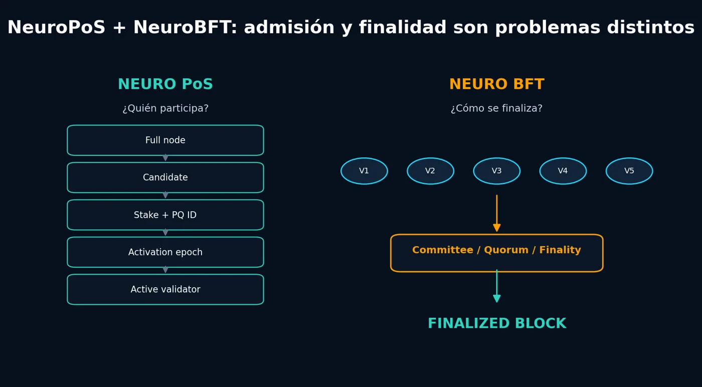 NeuroPoS + NeuroBFT